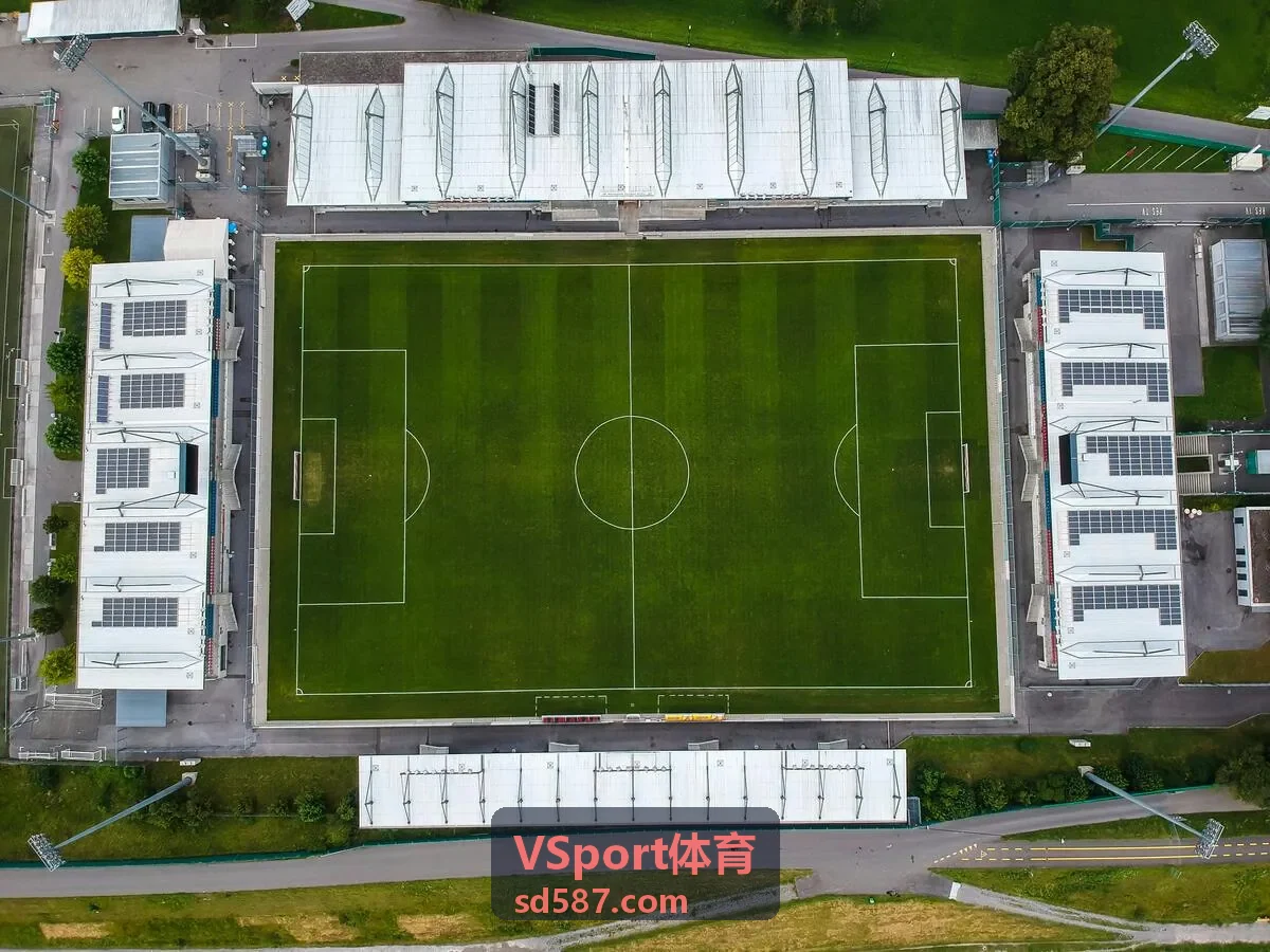 VSport体育竞技训练背景