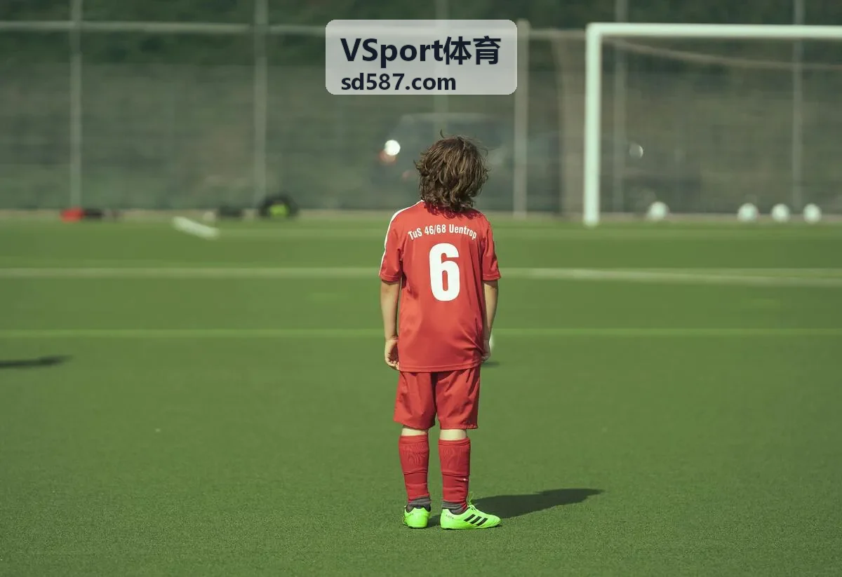 VSport体育合作案例